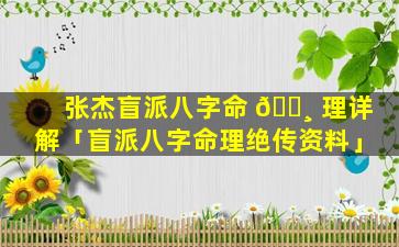 张杰盲派八字命 🌸 理详解「盲派八字命理绝传资料」